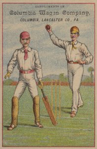 Amerikaans cricket door American School