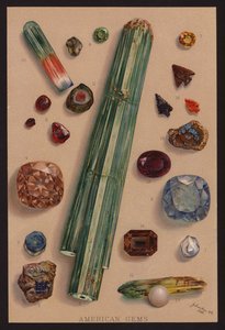  door American School