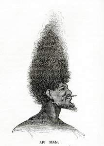 Api Man, illustratie uit Appletons Journal, 4 mei 1872 door American School