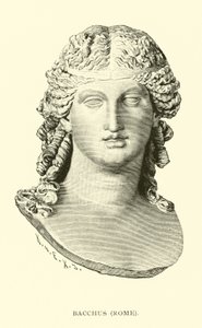 Bacchus, Rome
