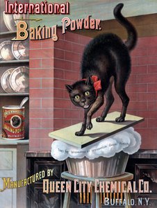 Zwarte kat gewekt door rijzend brooddeeg, ca. 1885 door American School