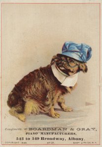 Bruine hond met een hoed en bril