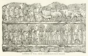 Oorlogskrijgsgevangenen; uit het paleis van Asshur-bani-pal door American School