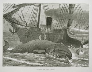 Het in stukken snijden van de walvis, uit The American Whale Fishery, c.1850 (gravure) door American School