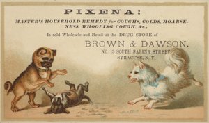 Honden spelen samen door American School