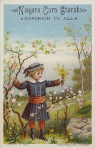 Meisje met Bos Bloemen op het Platteland door American School