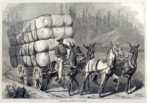Katoen naar de markt brengen, uit One Hundred Years