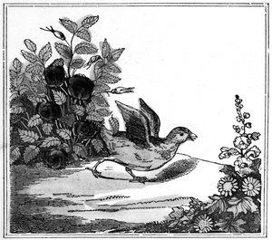 Illustratie uit het opmerkelijke verhaal van Chicken Little, 1840