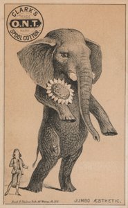 Jumbo