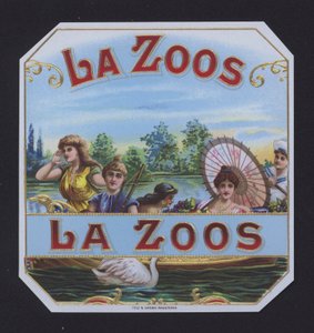 La Zoos door American School