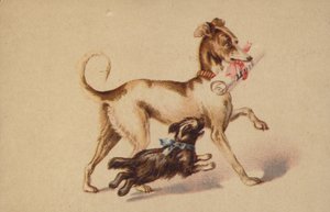 Grote en kleine hond rennen door American School