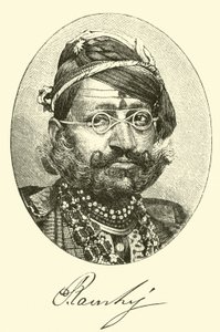 Maharadja door American School