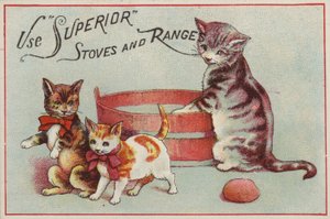 Moederkat met kittens door American School