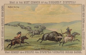 Inheemse Amerikanen die buffels jagen