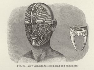 Nieuw-Zeelandse getatoeëerd hoofd en kinmarkering door American School