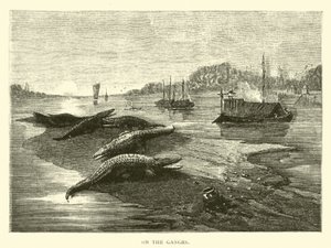 Op de Ganges