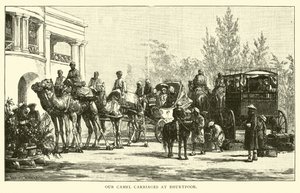 Onze kameelwagens in Bhurtpoor