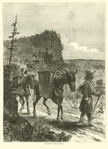 Pakmuilezels in de bergen, februari 1863 door American School