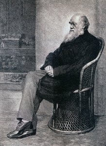 Portret van Charles Darwin door American School