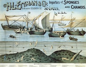 Poster die H.L. Ettman & Co., importeurs van sponzen en zeemleer, adverteert, 1897