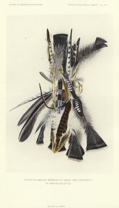 Gebedspluimen van leden van de grote vuurbroederschap tijdens de winterzonnewende (kleurenlitho) door American School
