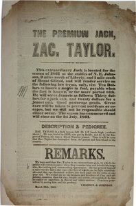 Handelingen en toespraak van de Constitutionele Conventie, ca. 19 maart 1861 door American School