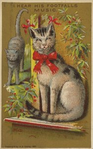 Trots Lachende Kat