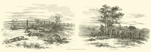 Scènes op het veld na de slag, september 1862 door American School