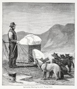 Schneider die ijs sleept met het puppy-team, Londen 1886 door American School