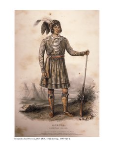 Seminole Chief Osceola door American School