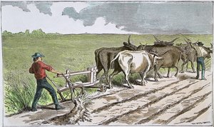 Sodbusters van het Amerikaanse Westen, ca. 1880 (gekleurde gravure) door American School