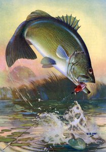 Sportvissen: Springende Largemouth Bass