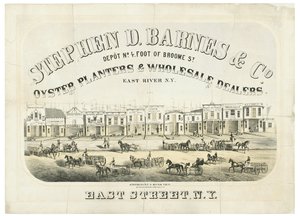Stephen D. Barnes & Co. Oesterplanters & Groothandelaren, depot nr. 4 voet van Broome Street