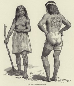 Getatoeëerde Haidas door American School
