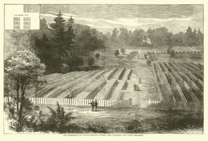 De Andersonville begraafplaats waar 14.000 Uniegevangenen werden begraven, mei 1865 door American School