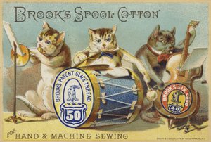 De kattenband door American School