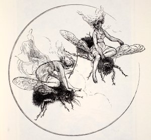 De Fays, uit The World Guide to Gnomes, Fairies, Elves and Other Little People door Thomas Keightley (1789-1872) gepubliceerd 1880