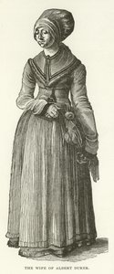 De vrouw van Albrecht Dürer door American School