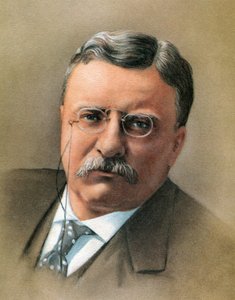 Theodore Roosevelt door American School
