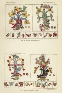 Vaticaanse Codex door American School