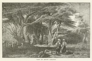 Uitzicht op de berg Libanon door American School