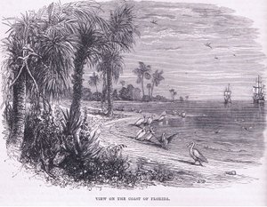Uitzicht op de kust van Florida, illustratie uit Cassell