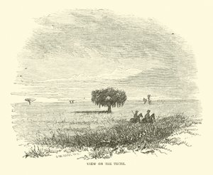 Uitzicht op de Teche, april 1863 door American School