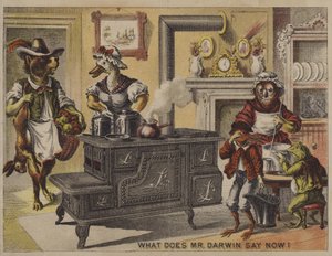 Wat zegt meneer Darwin nu?