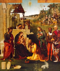Aanbidding van de Wijzen, door Amico Aspertini (1475-1552)