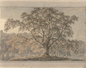 Uitzichten in Engeland, Schotland en Wales: Ash in Londesbro Park, mei 1800