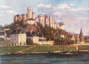 Chinon vanaf de Vienne