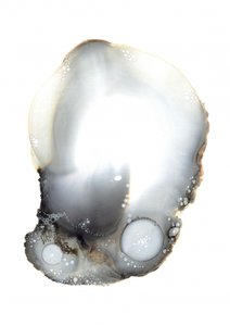 Voorbeeld XI door Amy Louise Baker