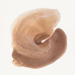 Biologische bruine swirl