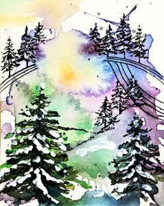 Kleurrijk winterbos